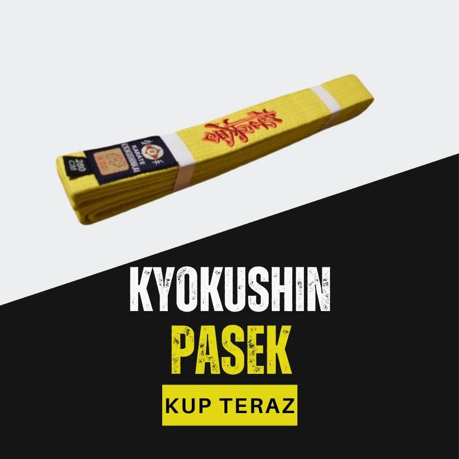 Pasy karate